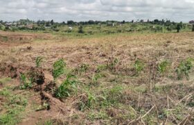 Litigation Free Land Available for Sale at Obom -Amasaman (Site 2)