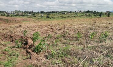 Litigation Free Land Available for Sale at Obom -Amasaman (Site 2)