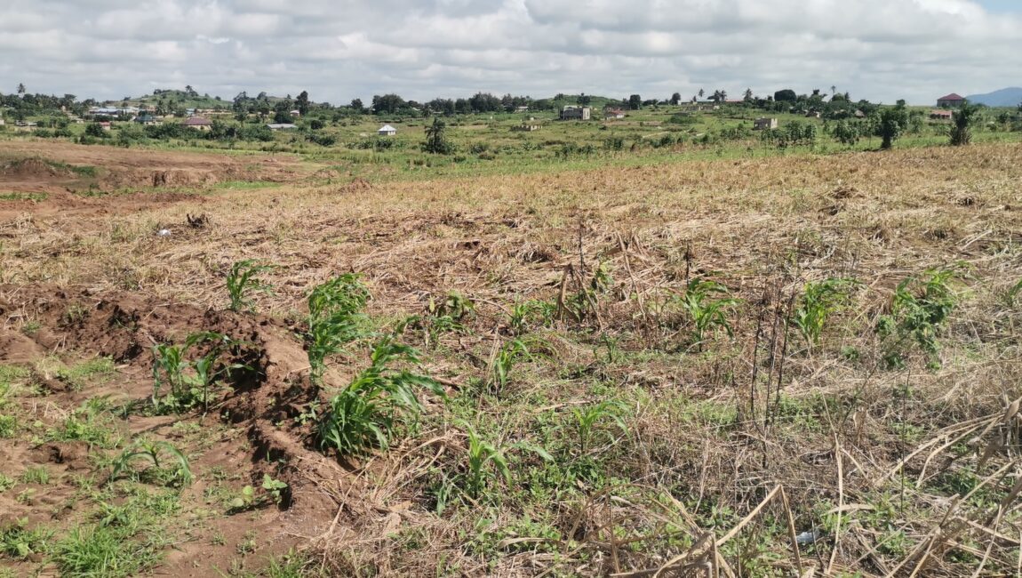 Litigation Free Land Available for Sale at Obom -Amasaman (Site 2)