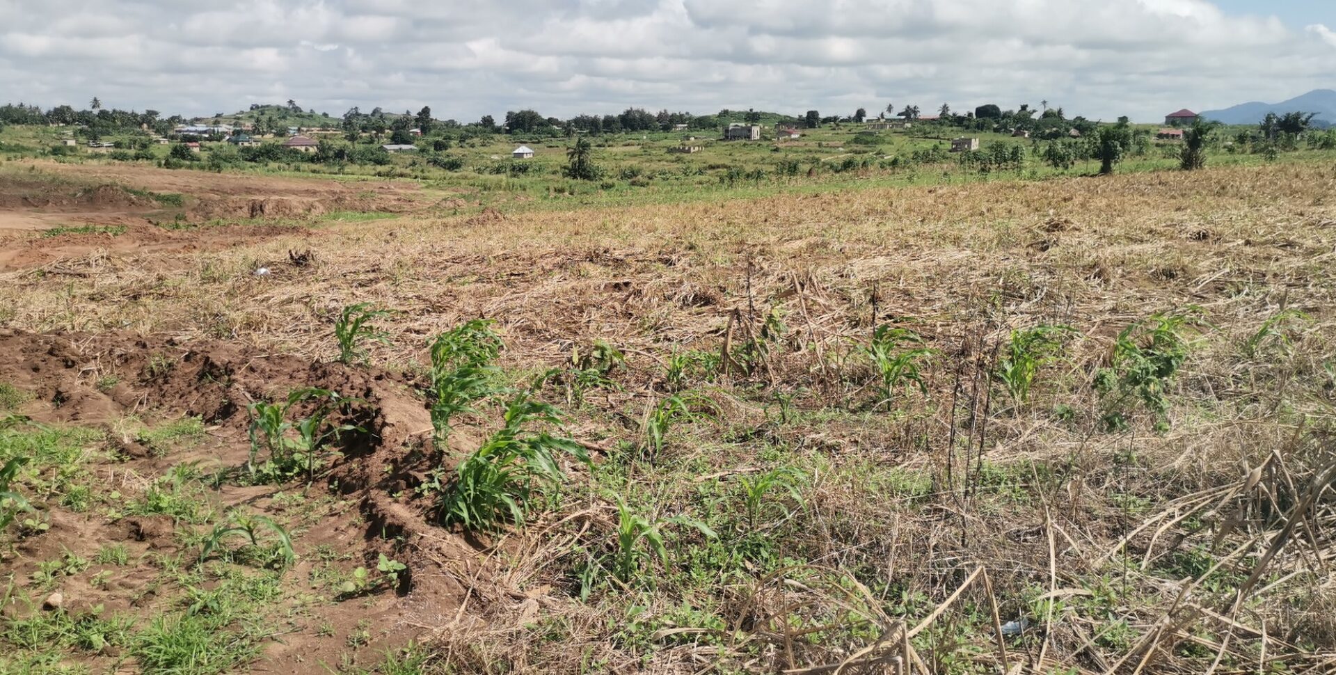 Litigation Free Land Available for Sale at Obom -Amasaman (Site 2)
