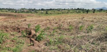 Litigation Free Land Available for Sale at Obom -Amasaman (Site 2)